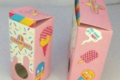 Custom Packing Box