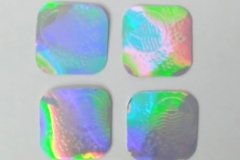Hologram Stickers